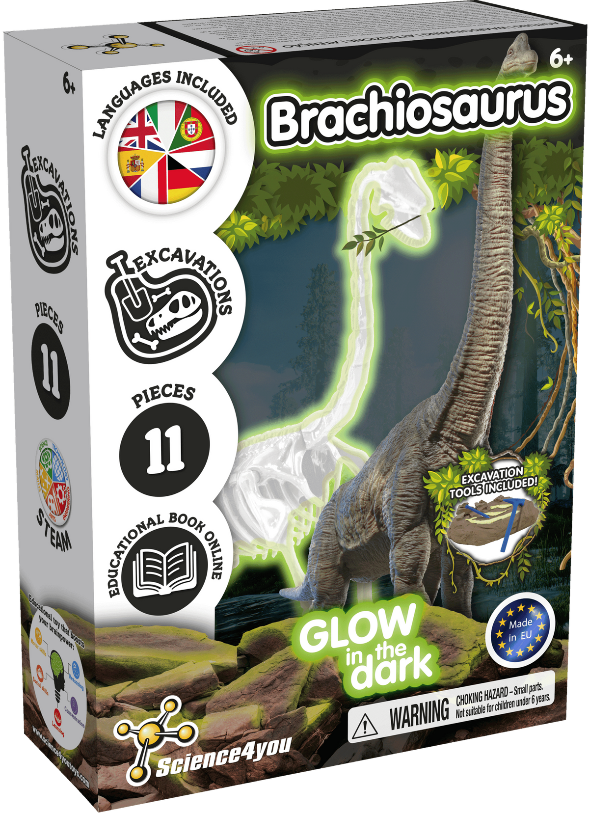 Escavações Fósseis Brilha no Escuro - Brachiosaurus