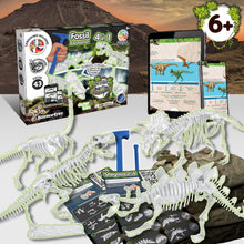 Excavaciones fósiles 4 en 1 GID