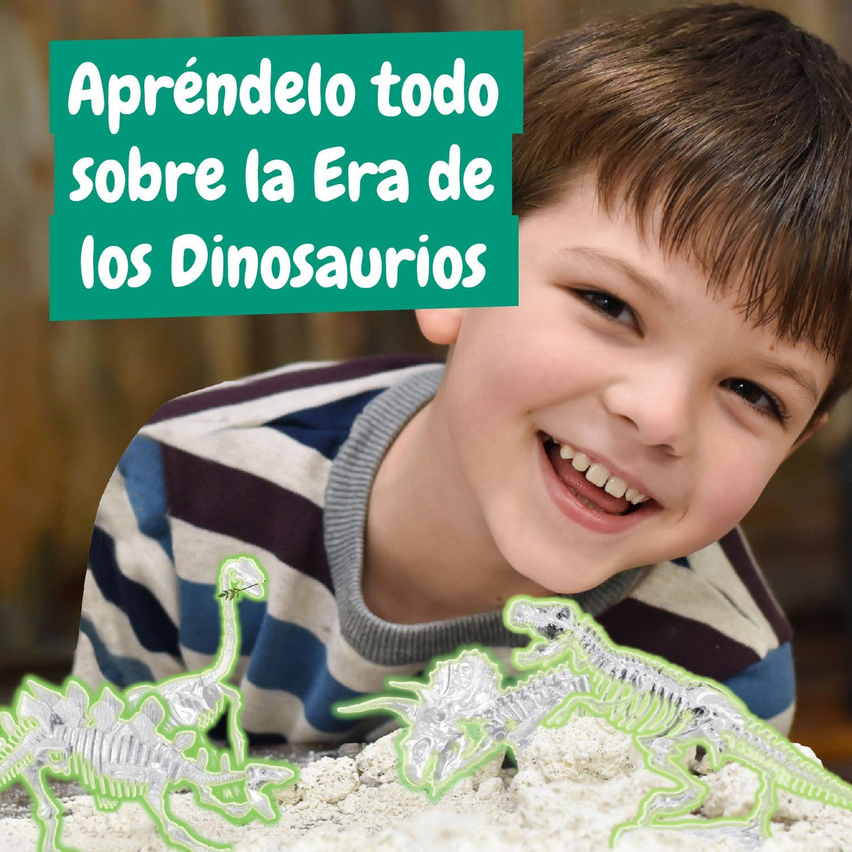 Excavaciones fósiles 4 en 1 GID