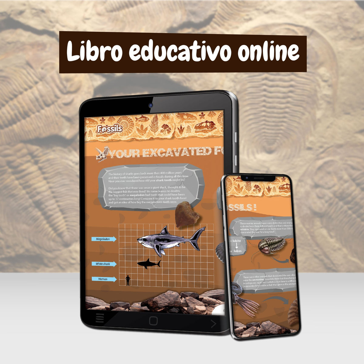 Escavações Fósseis Versão Multilingue