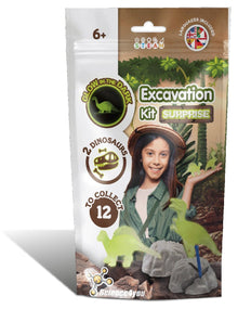 Kit Mini-Fouilles GID