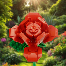Kit de Construcción Rosa Roja