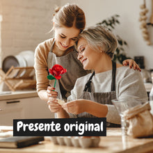 Red Rose Building Kit