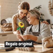 Kit de Construcción Girasol