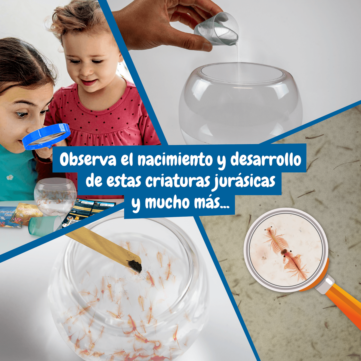 Criaturas Jurásicas