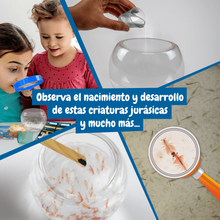 Criaturas Jurásicas