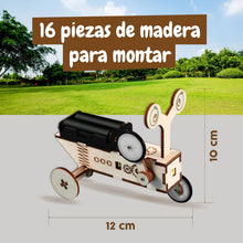 Reptil Robot de Madera
