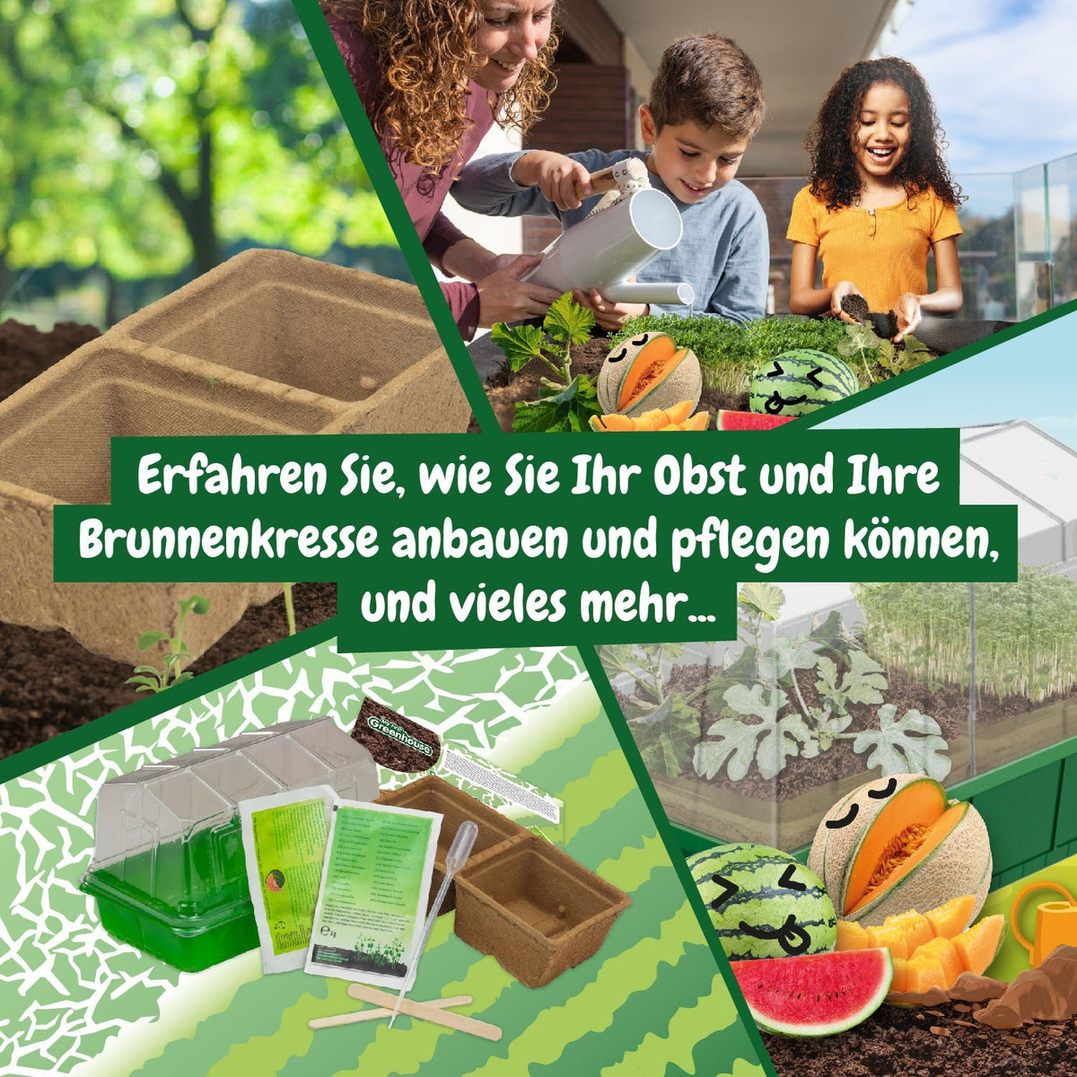 Mein Erstes Gewächshaus