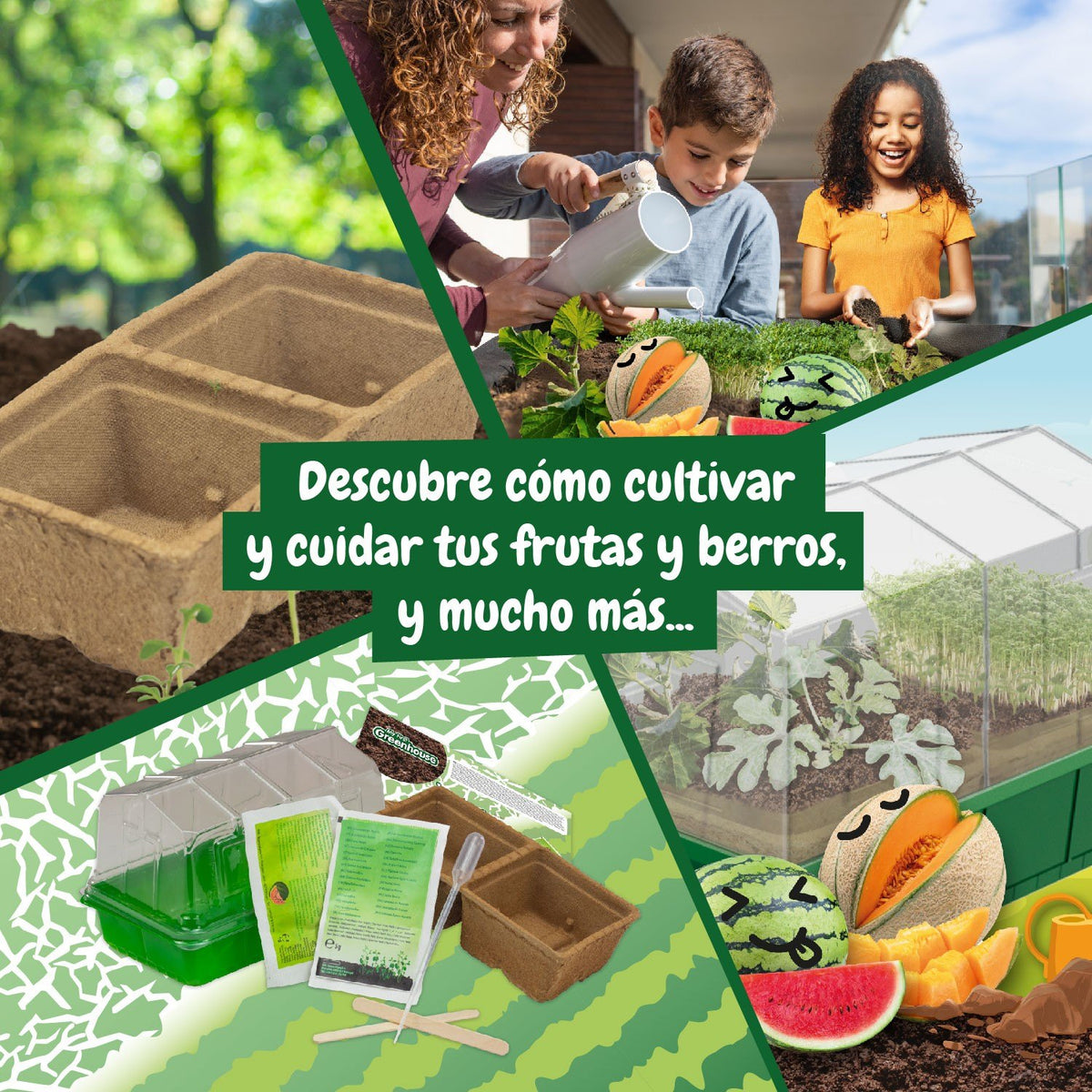 Mi Primer Invernadero