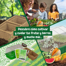 Mi Primer Invernadero