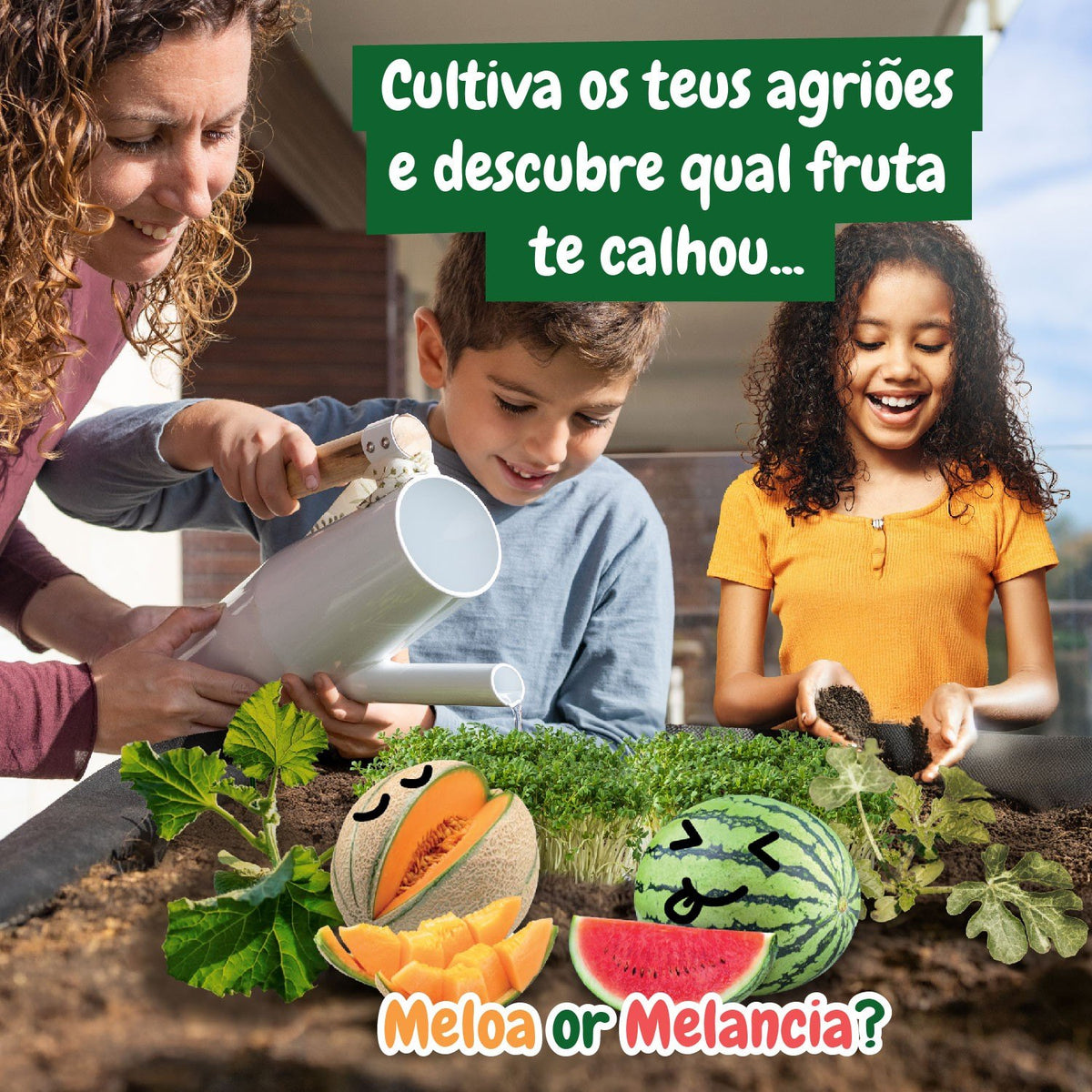 A minha Primeira Estufa
