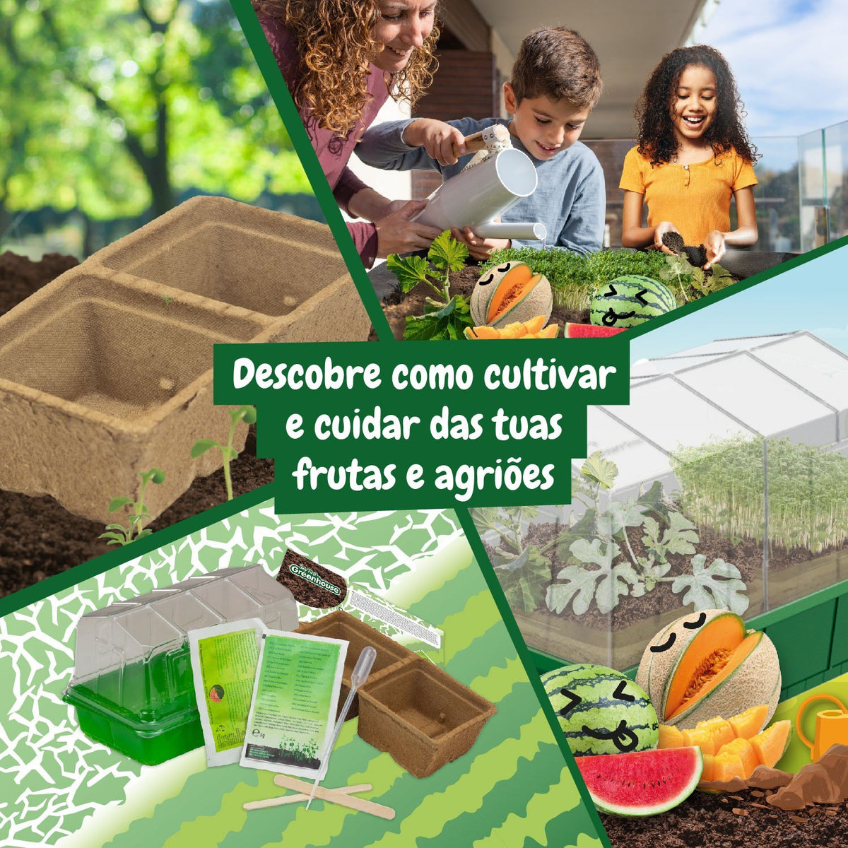 A minha Primeira Estufa